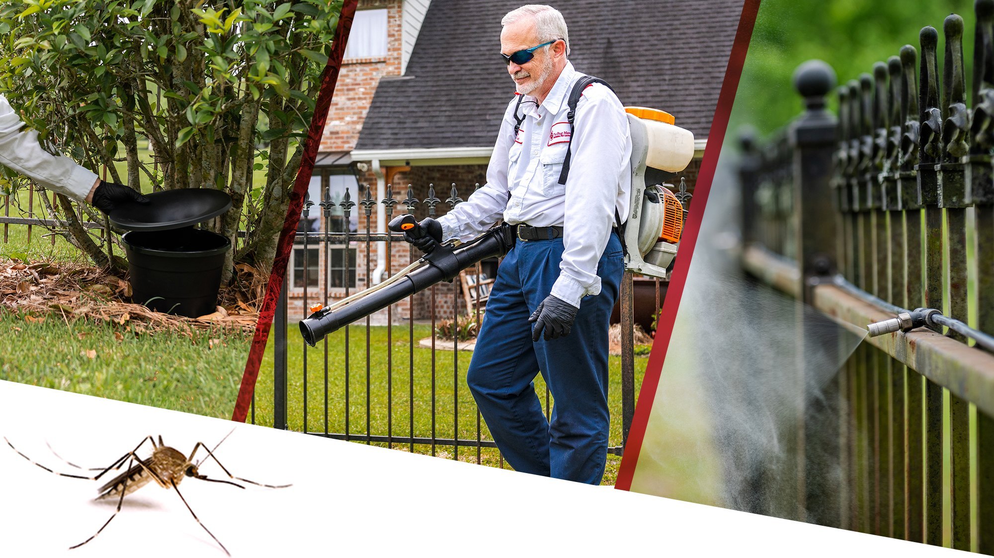 Anti Termite Treatment