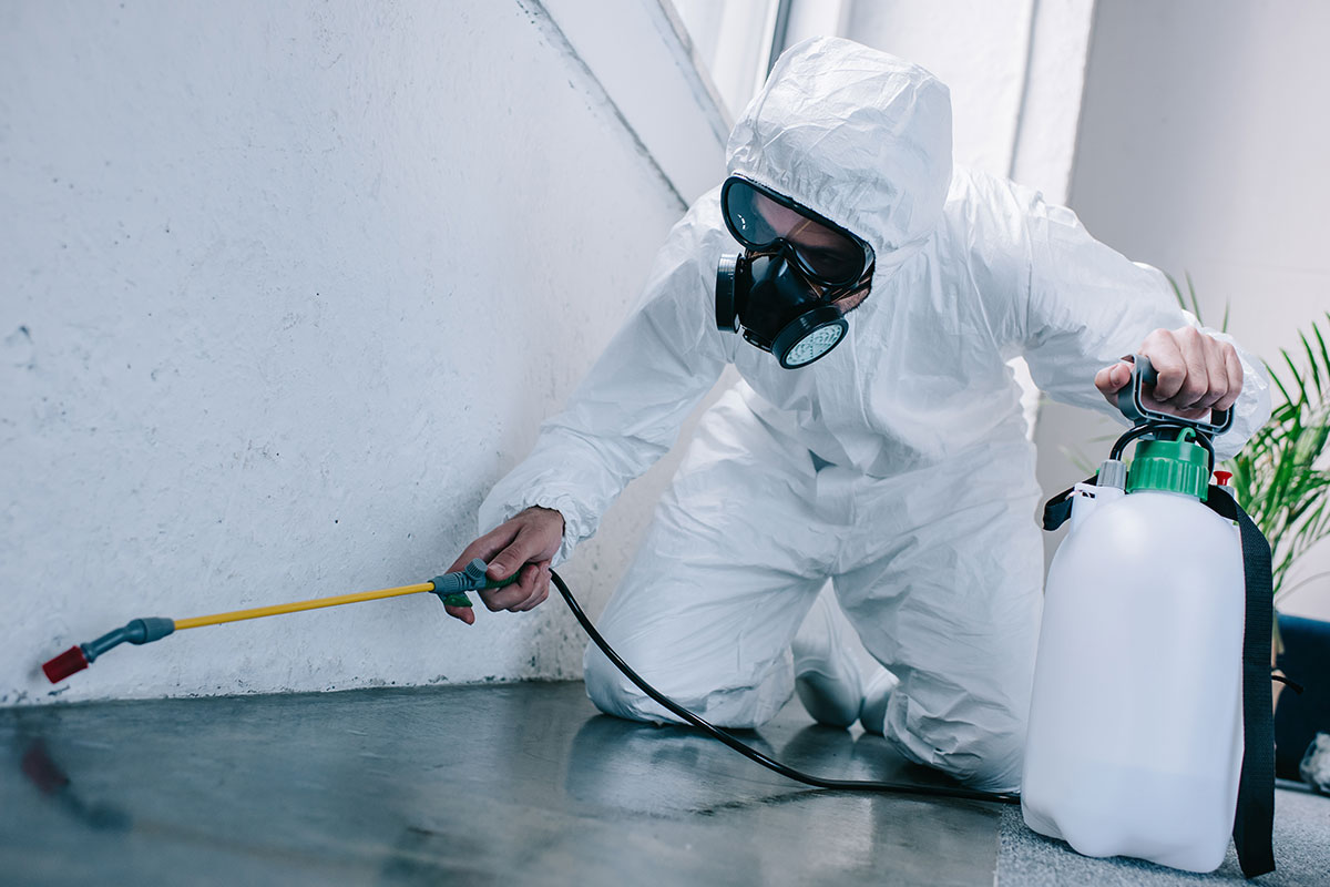 Prestige Pest Control Service