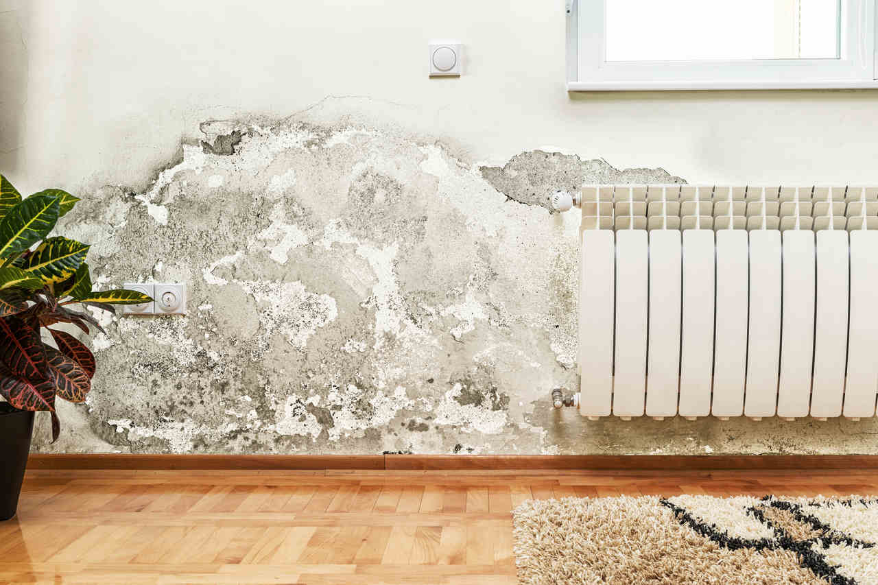 Wall Waterproofing